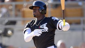 LUIS ROBERT