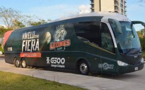 LEONES