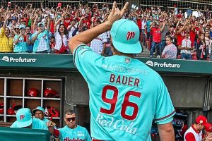 BAUER